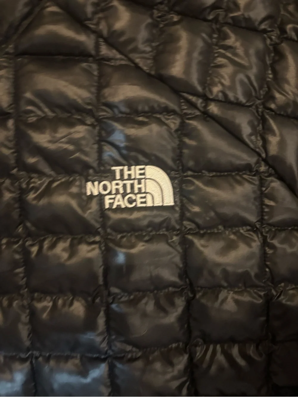 The North Face Black Quilted Puffer Jacket